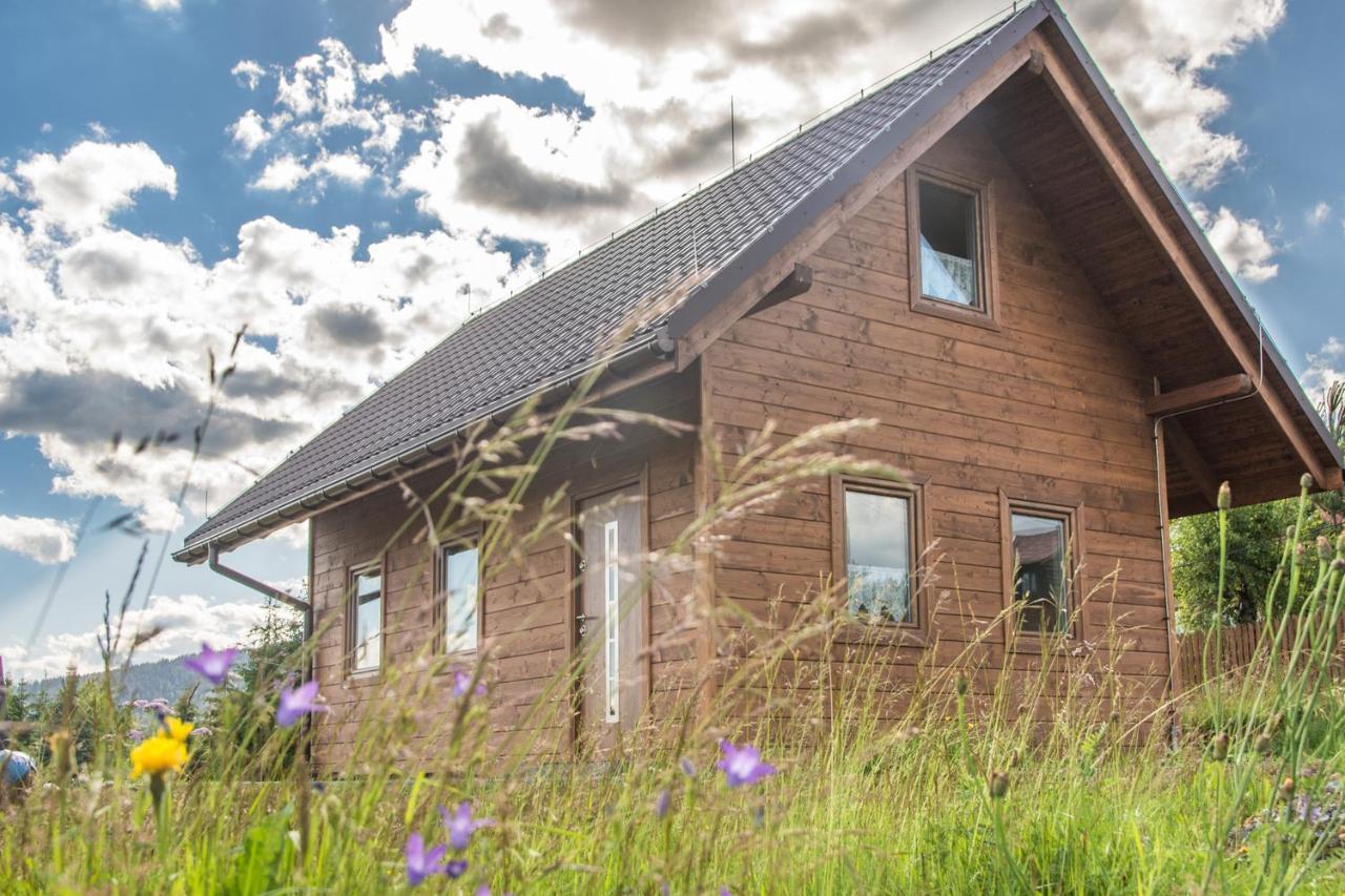 Villa U Jana I Wita à Istebna Extérieur photo