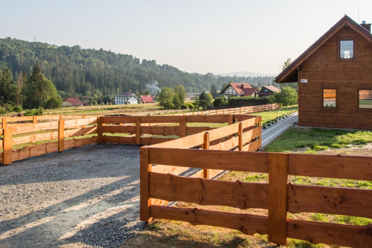 Villa U Jana I Wita à Istebna Extérieur photo