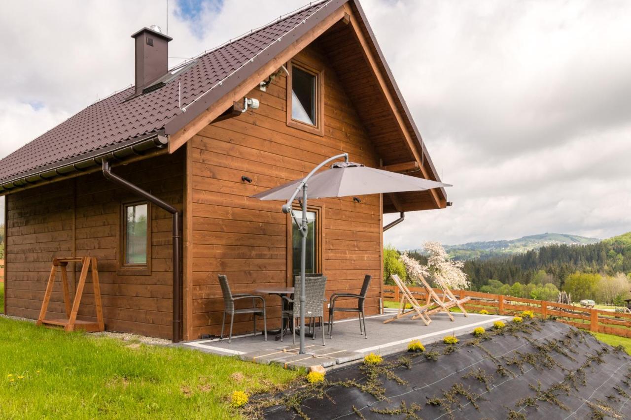 Villa U Jana I Wita à Istebna Extérieur photo